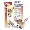 Puzle 3D Dodoland Velociraptor