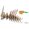 Puzle 3D Dodoland Conill