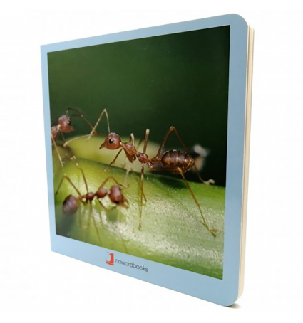 Nowordbooks Animalets