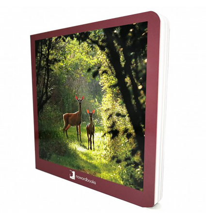 Nowordbooks Animales del bosque