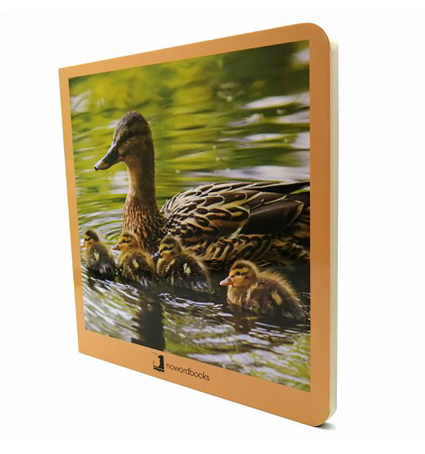 Nowordbooks Animales en familia 1