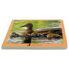 Nowordbooks Animales en familia 1