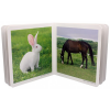 Nowordbooks Animales de la granja 