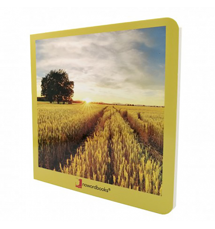 Nowordbooks El campo