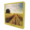 Nowordbooks El campo