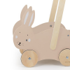 Carret caminador Trixie Buggy Conill
