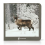 Nowordbooks Animales Polares