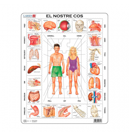 Puzzle Larsen El nostre Cos 