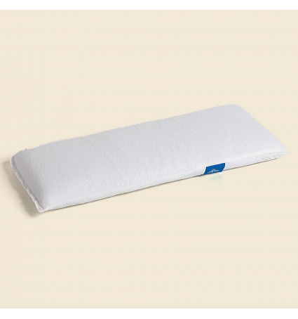 Coixí My Mattress Stretch Aloe Vera 57 