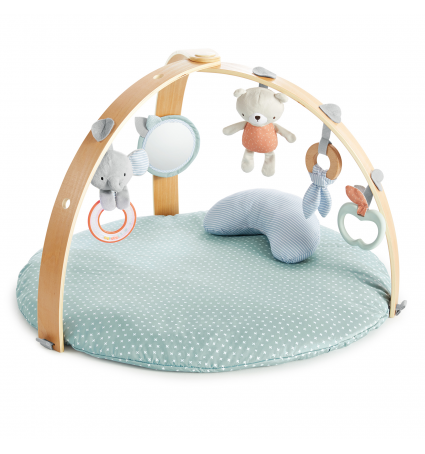 Catifa d'Activitats Ingenuity Cozy Spot