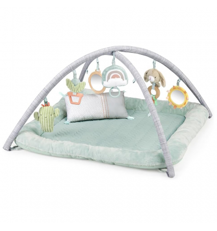 Catifa d'Activitats Ingenuity Calm Springs