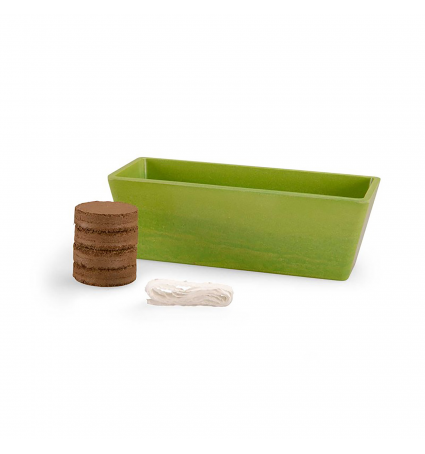 Kit jardinera Moulin Roty albahaca