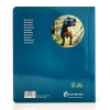 Nowordbooks Formato Grande Dinosaurios