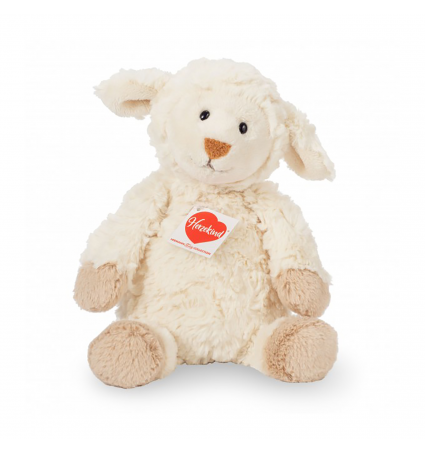 Peluix Hermann Teddy Ovella Maggi