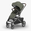 Cochecito Uppababy CRUZ V3 Duo Evelyn meadow green