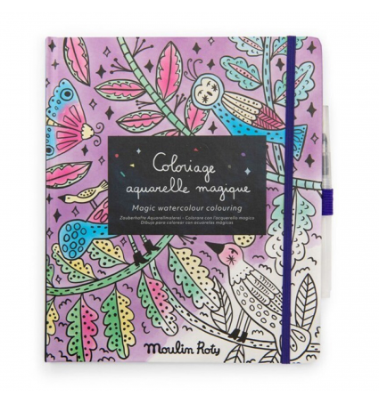 Cuaderno para pintar con pincel mágico Moulin Roty Comètes filantes